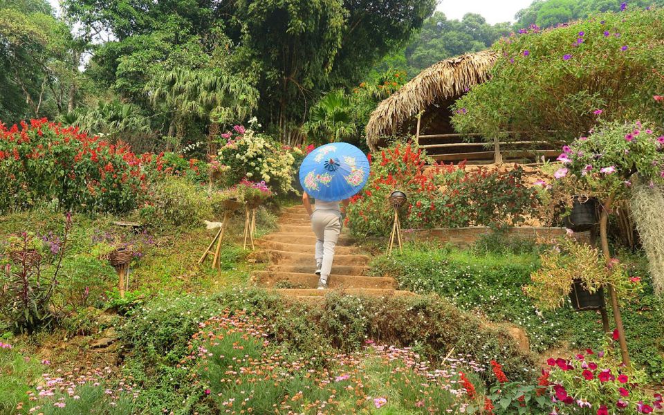 Chiang Mai: Half day Doi Suthep and Meo Village - The 5-hour rhythm: how this half-day plan stays satisfying