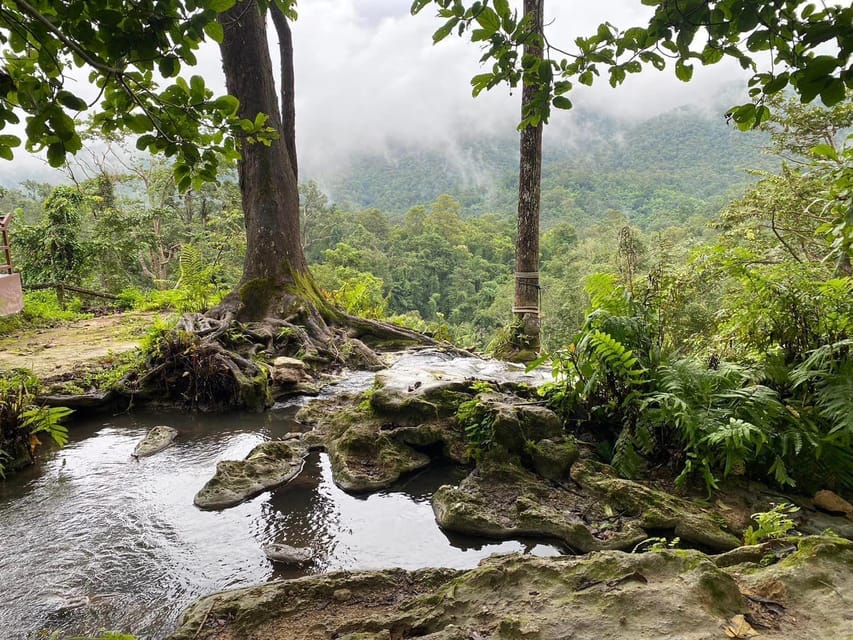 Chiang Mai Half Day Tour: Sticky Waterfall & Hotel Transfer - Key things to know before you go