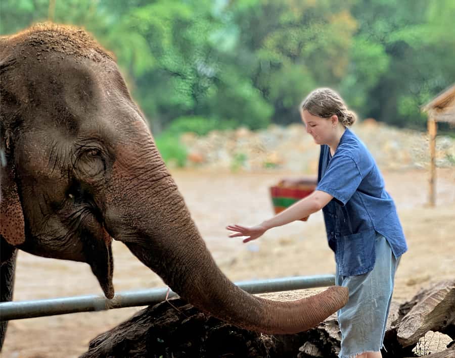 Chiang Mai : Highlight in one day - A one-day plan that actually feels like Chiang Mai