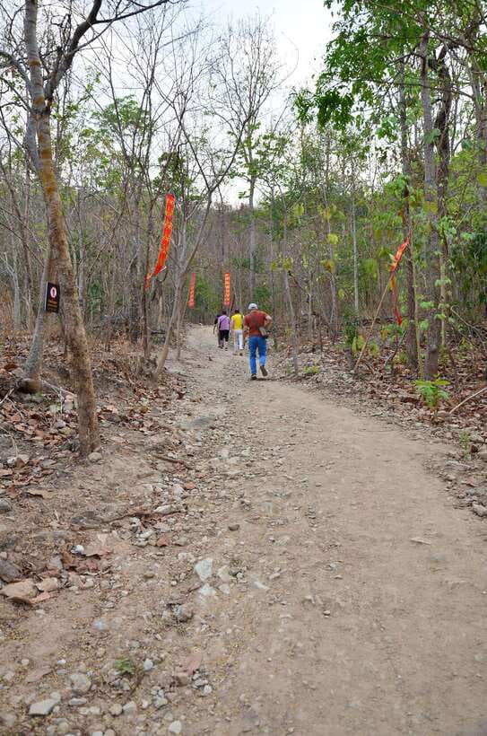 Chiang Mai: Hike on Monk’s Trail and Doi Suthep Private Tour - Price and value: why $57 feels fair for this mix