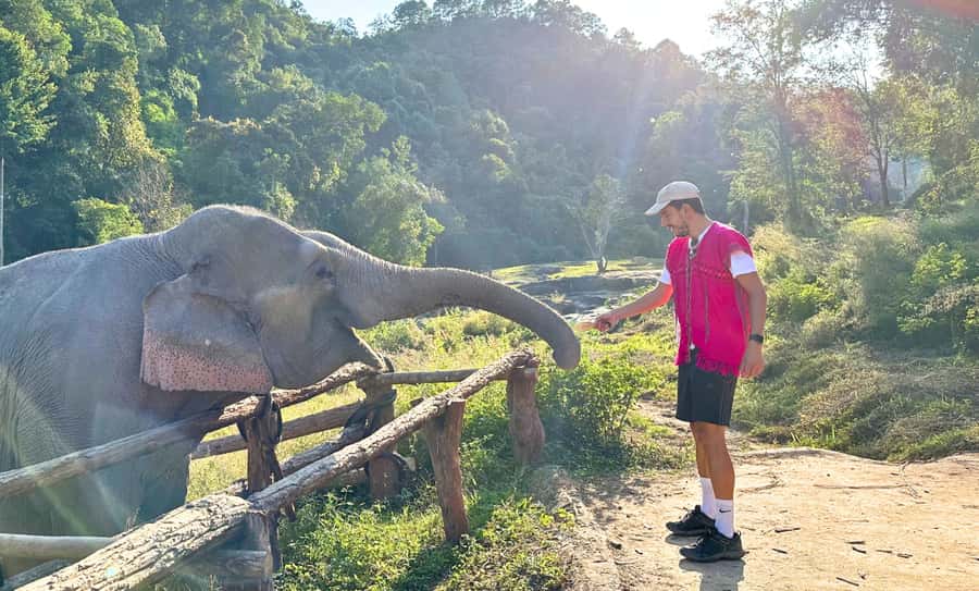 Chiang Mai: Inthanon, Ethical Elephant Sanctuary & Waterfall - Pha Dok Siew hike: forests, rice crops, and waterfall country