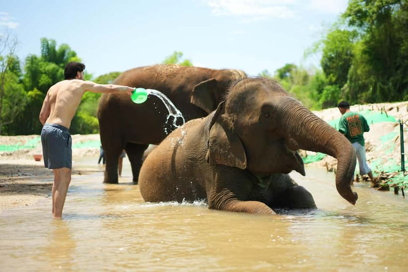 Chiang Mai: Jungle Jumbo Elephant Sanctuary with Waterfall - The Thai village walk: culture that sets the tone
