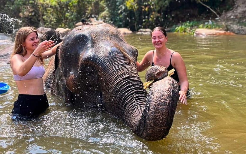 Chiang Mai: Jungle Trek, Elephants care & Bamboo Rafting - Chiang Mai Jungle Trek, Rafts, and Karen Culture: What This Day Feels Like