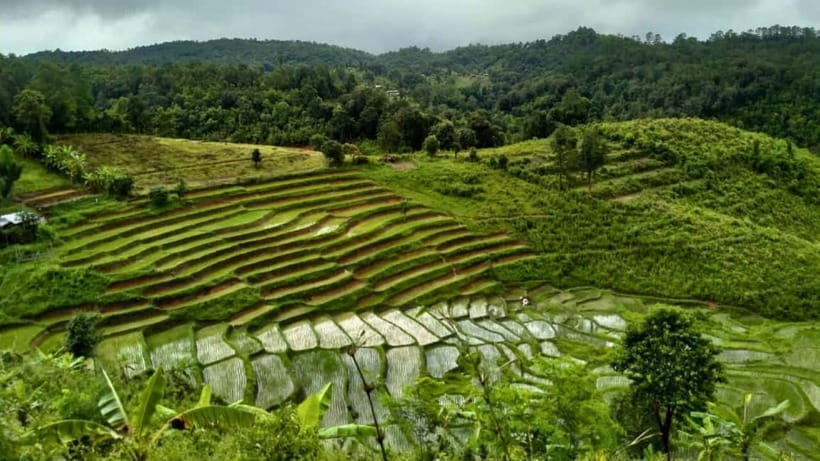 Chiang Mai: Jungle Trek, Elephants care & Bamboo Rafting - Karen Hill Tribe Village: Culture With Time to Ask Questions