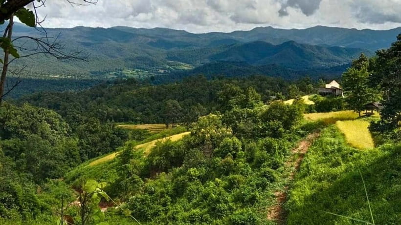Chiang Mai: Jungle Trek, Elephants care & Bamboo Rafting - The Elephant Care Question: Confirm What’s Included