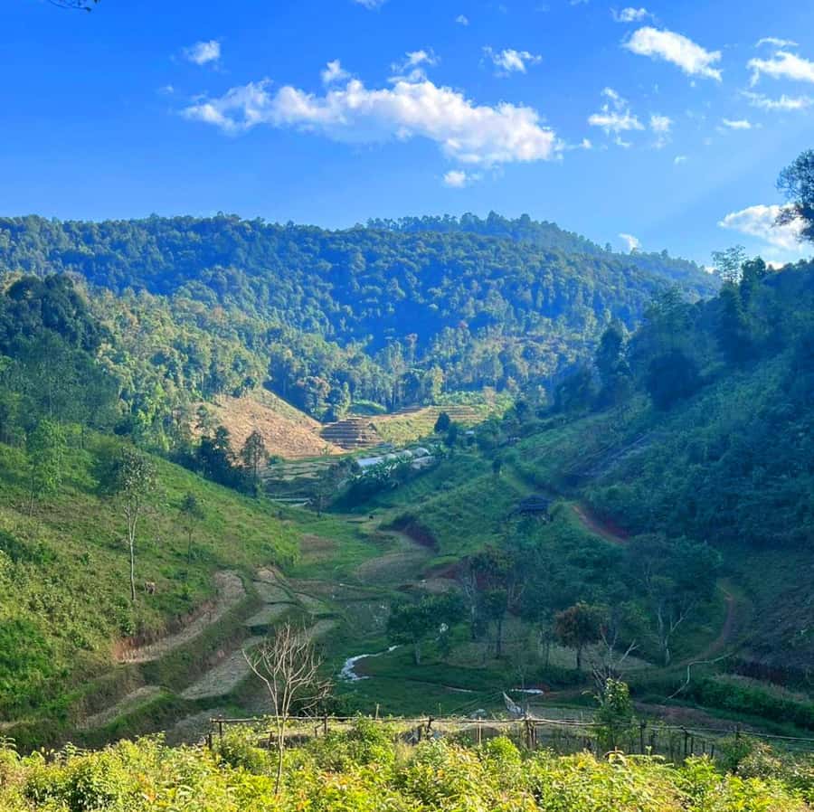 Chiang Mai: Karen Tribe & Dual Waterfalls - Private Day Trek - Who should book this and who should skip it