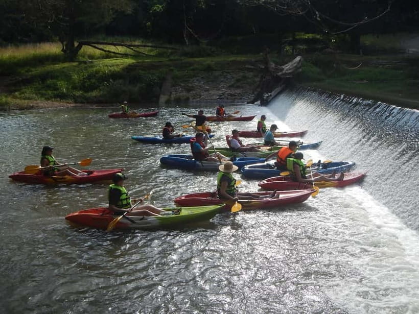 Chiang Mai: Kayak the Jungle River of Chiang Dao Valley! - The return paddle: Ping River scenery, birds, and farm fields