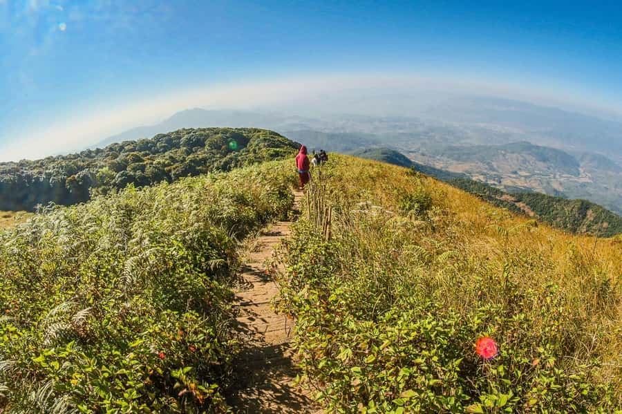 Chiang Mai: Kew Mae Pan Nature Trail & Doi Inthanon Day Trip - Doi Inthanon: The Highest Peak and the Views That Reset Your Head