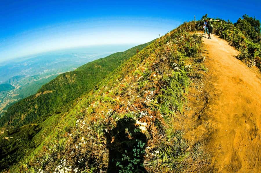 Chiang Mai: Kew Mae Pan Nature Trail & Doi Inthanon Day Trip - Wachirathan Waterfall: The Quiet Finish That Feels Like a Reward