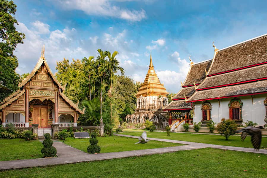 Chiang Mai Light: Tuk Tuk Night Tour with Temples & Markets - Who This Tour Fits Best (and Who Should Skip It)