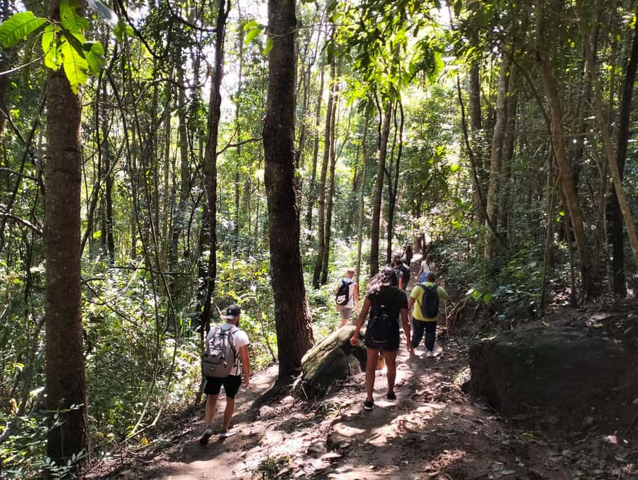 Chiang Mai: Mae Ya Waterfall & Pha Dok Siew Trail Trek - Key Highlights Worth Planning For