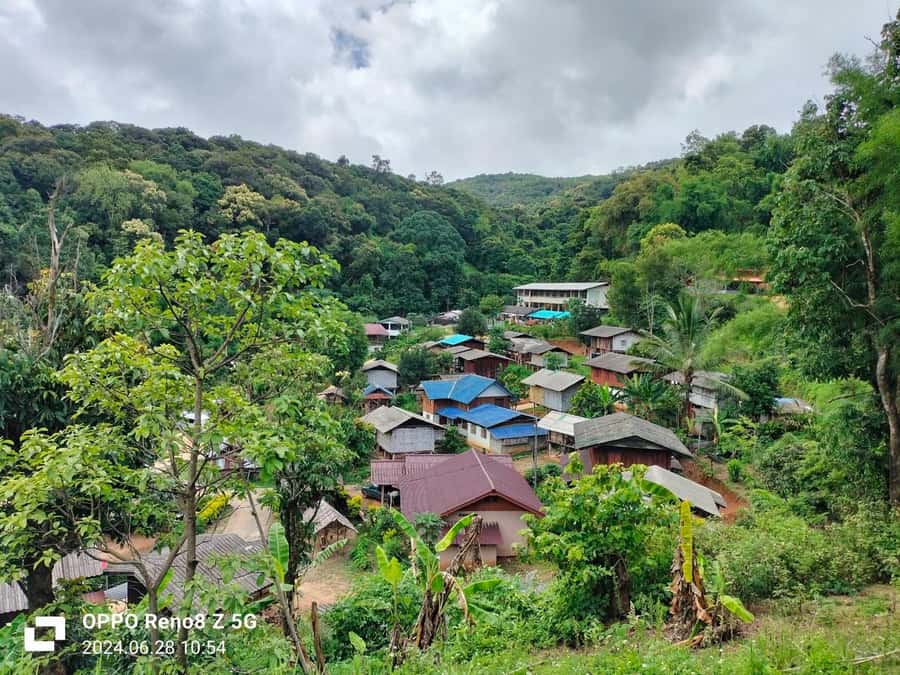 Chiang Mai: Mae Ya Waterfall & Pha Dok Siew Trail Trek - Pha Dok Siew Nature Trail Trek: About 2 Hours Through Forest and Hillside Farms
