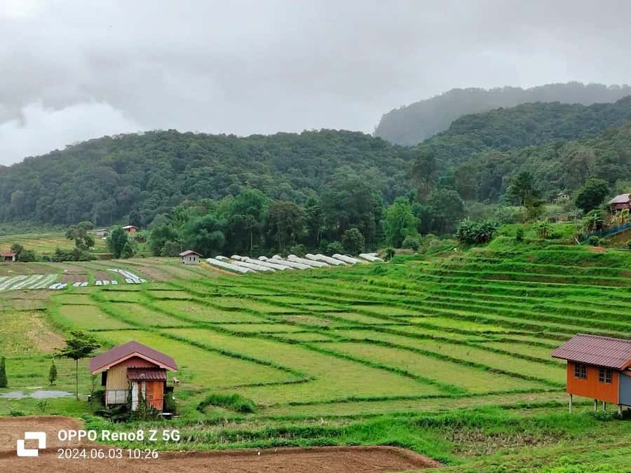 Chiang Mai: Mae Ya Waterfall & Pha Dok Siew Trail Trek - Price and What You Get for $80: Transportation, Guide, Lunch, Insurance