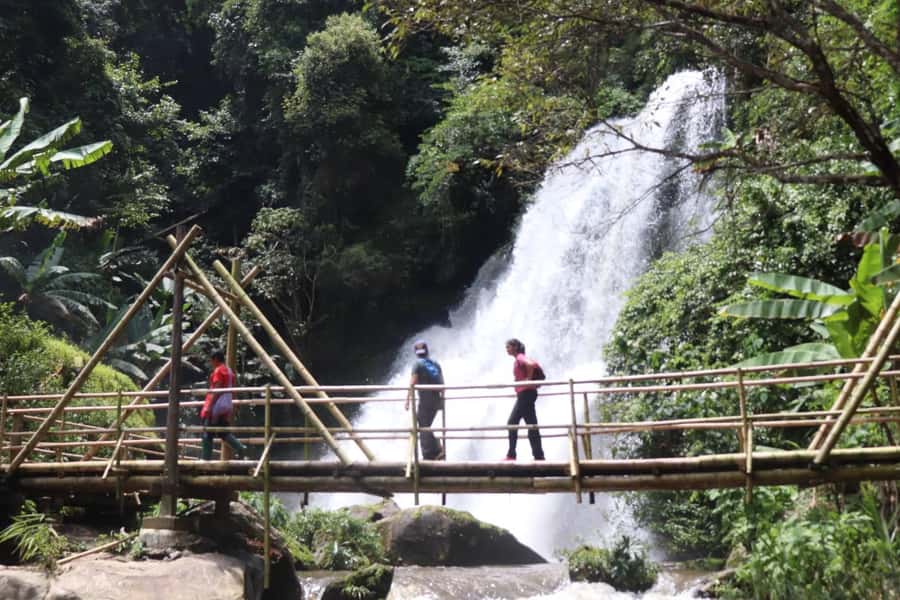 Chiang Mai: Mae Ya Waterfall & Pha Dok Siew Trail Trek - Practical Tips, What to Bring, and Who This Tour Fits