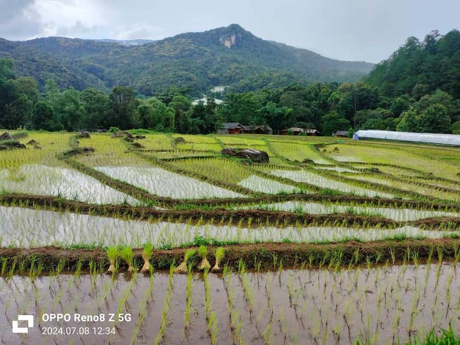 Chiang Mai: Mae Ya Waterfall & Pha Dok Siew Trail Trek - Wachiratharn Waterfall: The First Big Drop and What to Expect