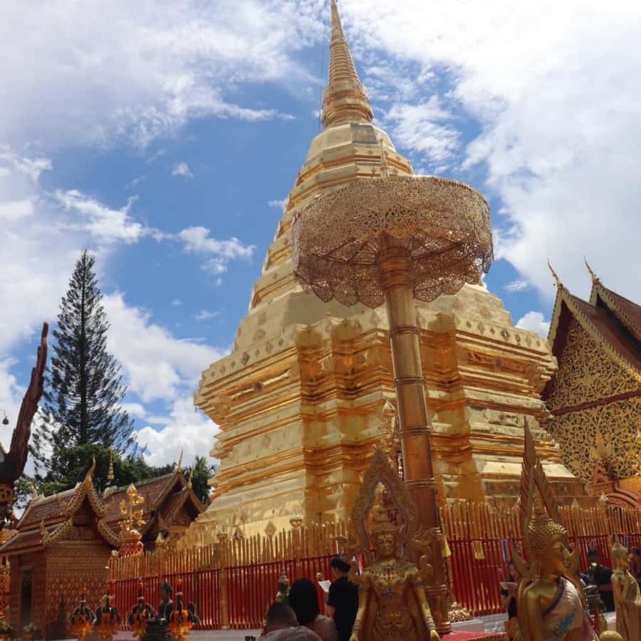 Chiang Mai Monk's Trail Wat Pha Lat & Visit Wat Doi Suthep - Key things to know before you go
