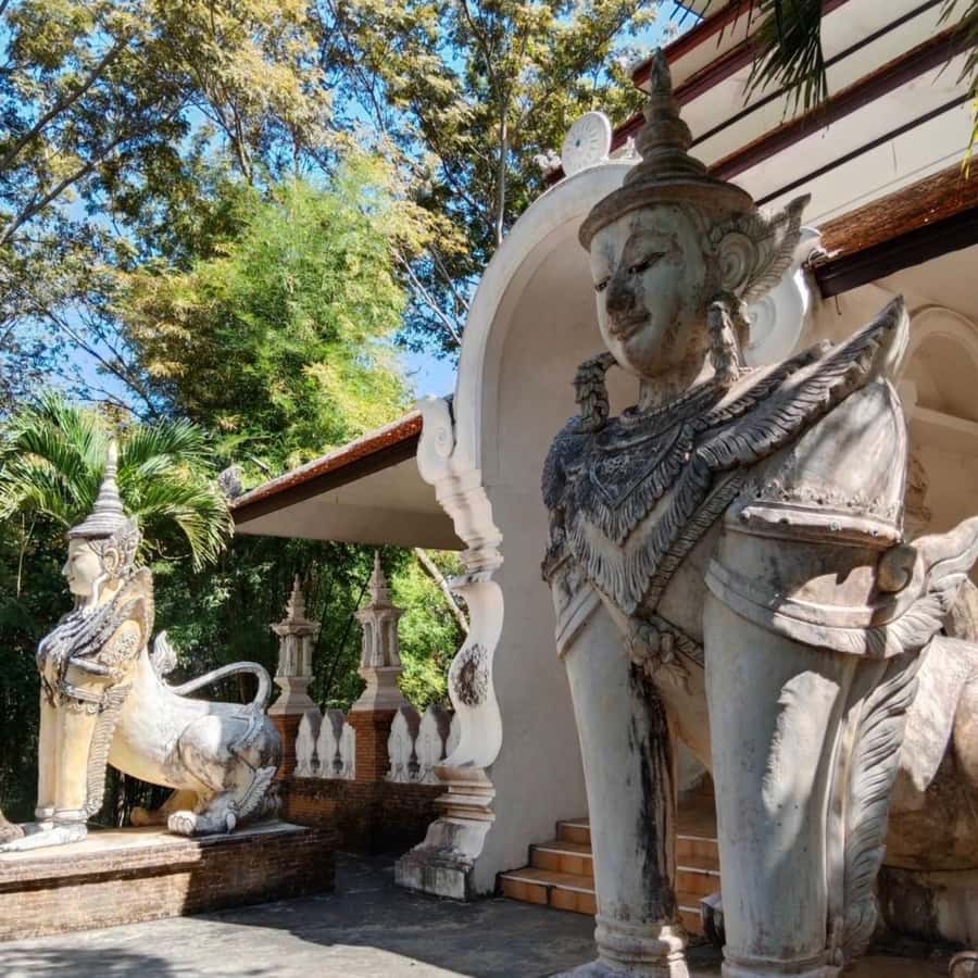 Chiang Mai Monk's Trail Wat Pha Lat & Visit Wat Doi Suthep - Who this tour suits best, and who should rethink it