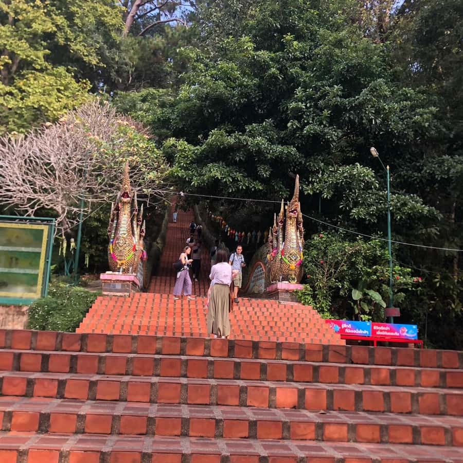 Chiang Mai Monk's Trail Wat Pha Lat & Visit Wat Doi Suthep - A 5-hour Chiang Mai combo that moves at the right speed