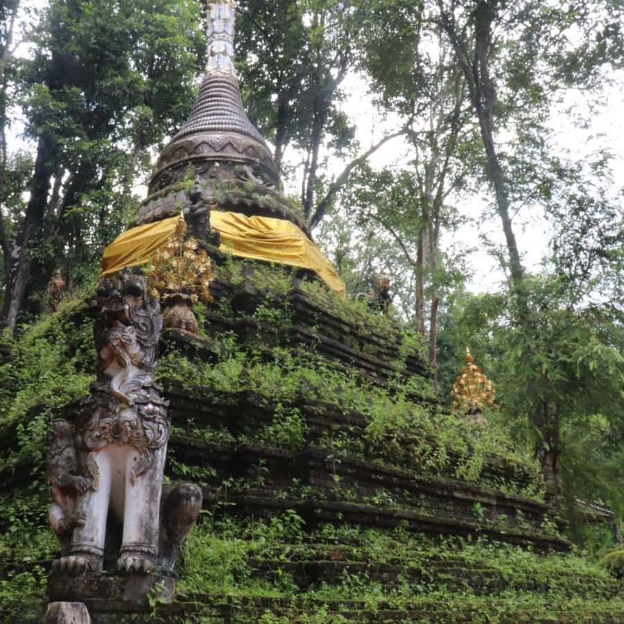 Chiang Mai Monk's Trail Wat Pha Lat & Visit Wat Doi Suthep - The monk’s trail walk: downhill ease, uphill choice, rocky reality