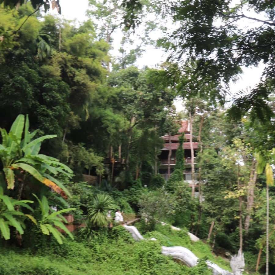 Chiang Mai Monk's Trail Wat Pha Lat & Visit Wat Doi Suthep - What’s included (and why it’s good value at $73)