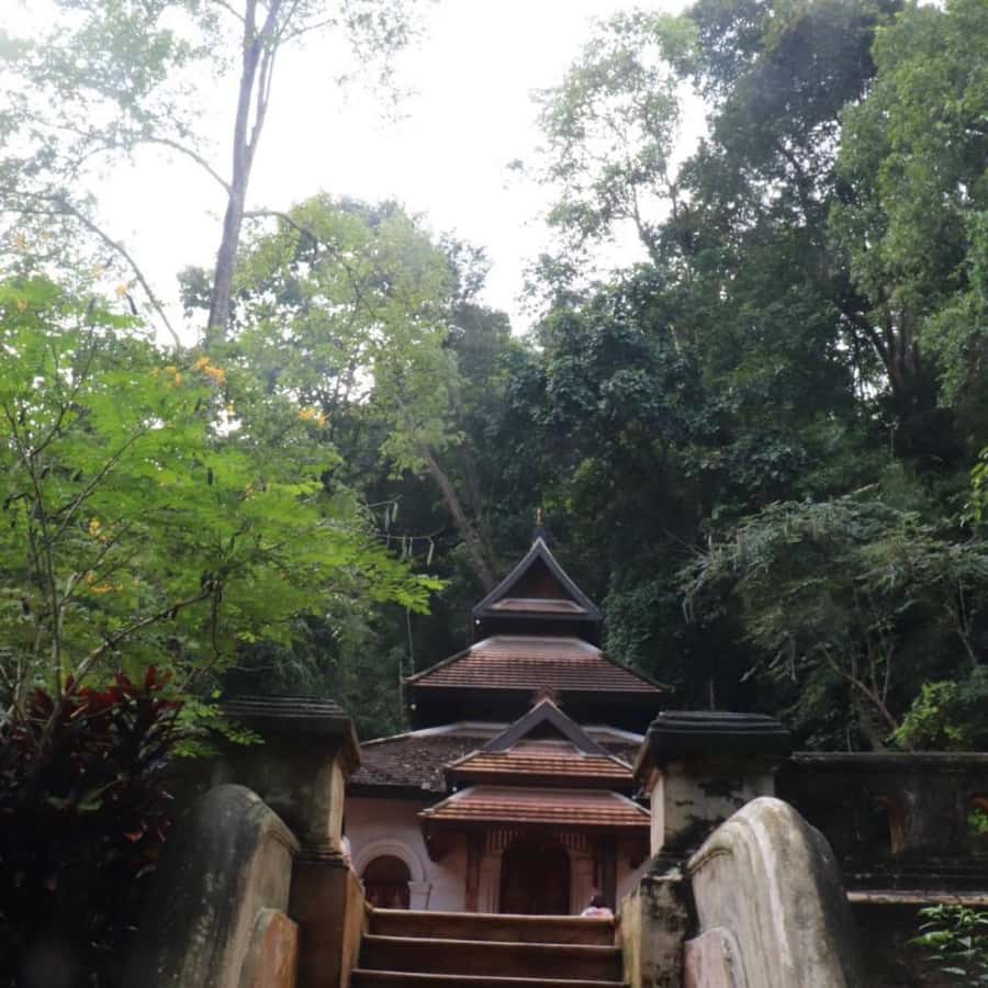 Chiang Mai Monk's Trail Wat Pha Lat & Visit Wat Doi Suthep - What to bring and how to prepare for a temple hike day
