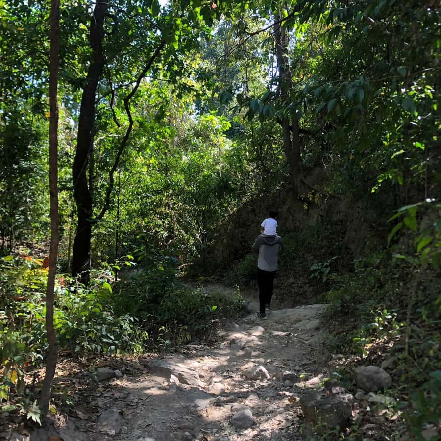 Chiang Mai Monk's Trail Wat Pha Lat & Visit Wat Doi Suthep - Pickup and timing: morning comfort, quick return to town