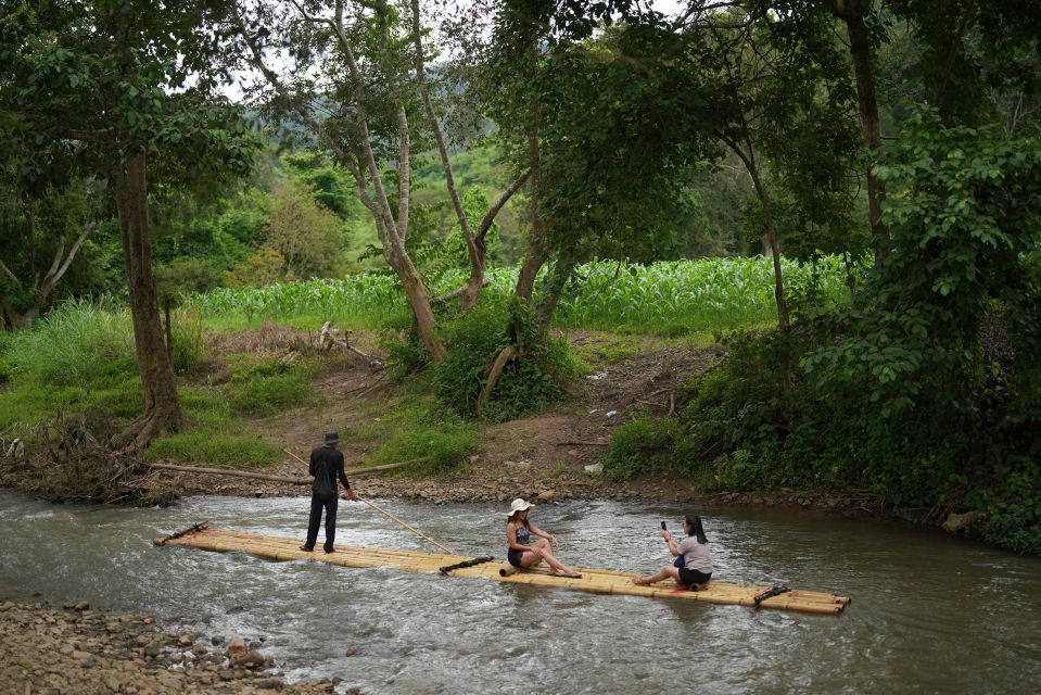 Chiang Mai: National Elephant Care, Rafting, & Ziplines Trip - Mae Wang Zipline Adventure: a full forest course, not just one line