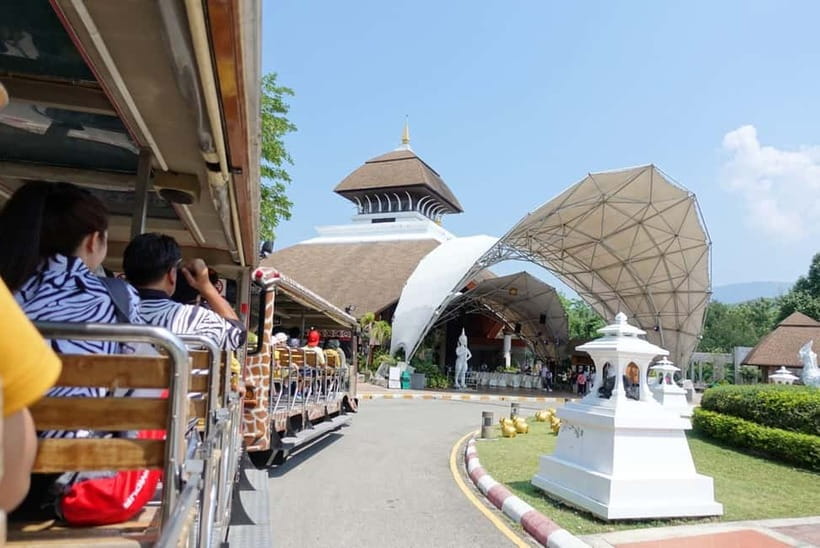 Chiang Mai Night Safari: Entry Ticket with Tram Ride - Savanna and Predator Zones Tram Ride: The Safest Way to See Big Cats at Night
