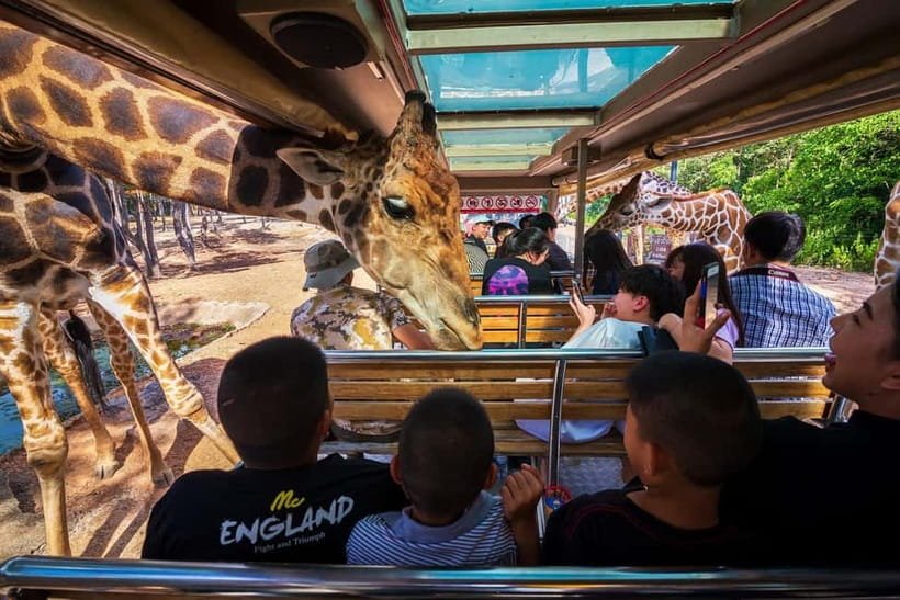 Chiang Mai Night Safari Ticket & Tram Rides Optional Pickup - Walking Trails: Your Self-Paced Route Through Lit Habitats