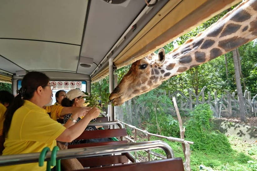 Chiang Mai Night Safari Ticket & Tram Rides Optional Pickup - Price and Value: Is $34 a Fair Deal?