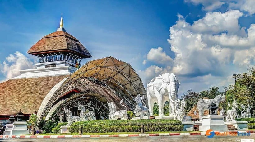 Chiang Mai Night Safari Ticket & Tram Rides Optional Pickup - Who This Night Safari Fits Best (And Who Might Find It Frustrated)