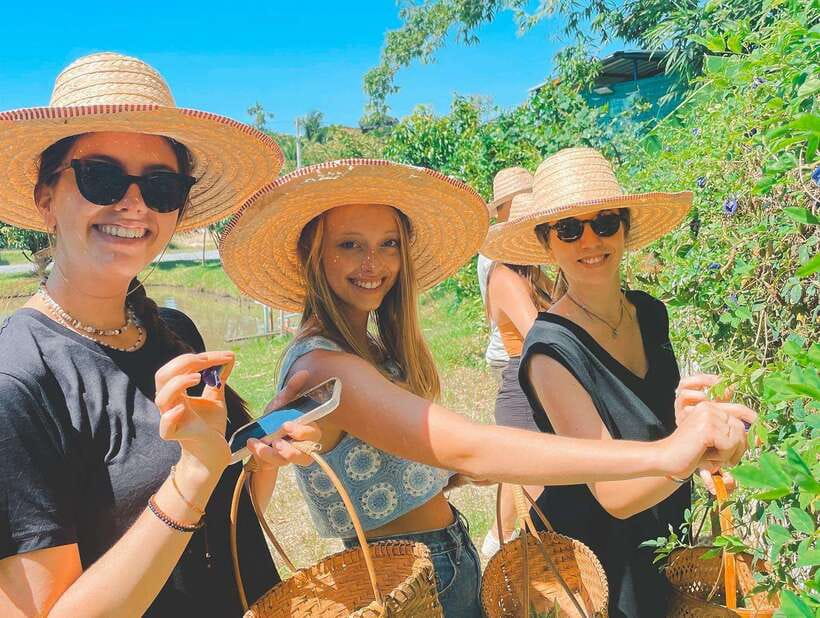 Chiang Mai Organic Thai Cooking Experience - Organic farm tour and welcome drink: the calm before the chopping