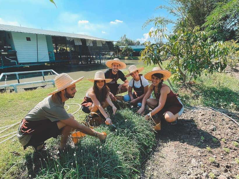 Chiang Mai Organic Thai Cooking Experience - Who should book this cooking experience (and who should skip it)