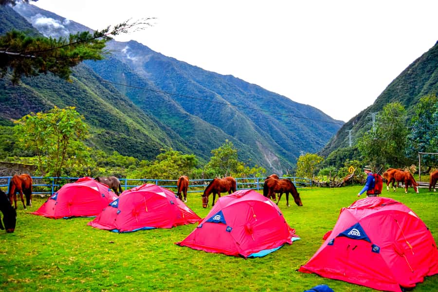Cusco: 5-Day Salkantay Ultimate Trek to Machu Picchu - Day 3: Cloud Forest Descent, Waterfalls, and Lucmabamba