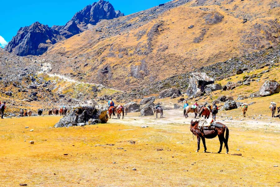 Cusco: 5-Day Salkantay Ultimate Trek to Machu Picchu - Day 4: Llactapata Terraces First Look, Then Down to Aguas Calientes