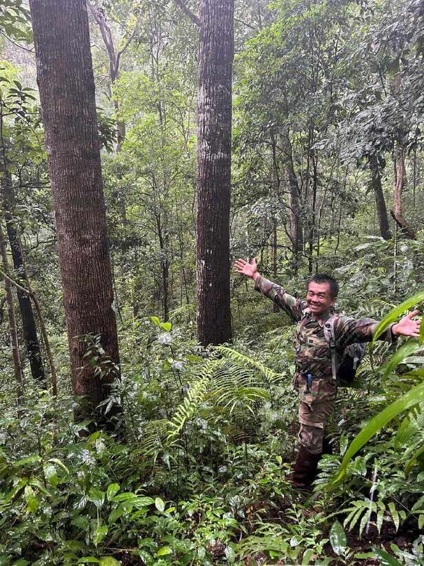 From Chiang Mai: Doi Saket Hiking Tour with Lunch - Key Highlights You’ll Actually Feel on This Hike