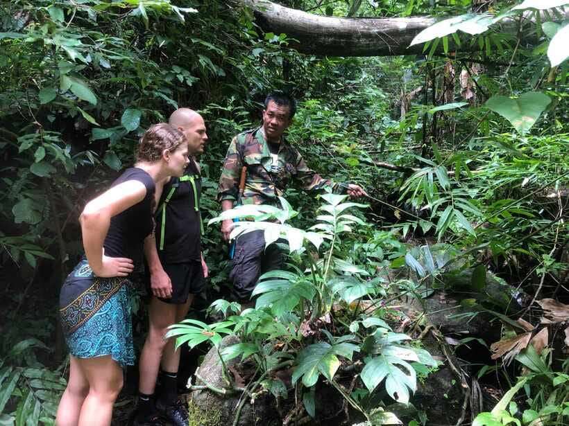 From Chiang Mai: Doi Saket Hiking Tour with Lunch - From Village Walk to the Jungle Trail: Herbs, Community, and Quiet Forest Air