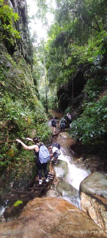 From Chiang Mai: Doi Saket Hiking Tour with Lunch - The 5-Hour Trek: Streams, Ancient Trees, and a Trail That Tests Balance