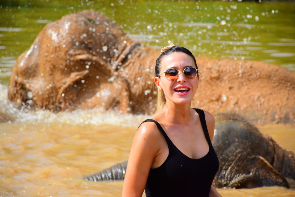 From Chiang Mai: Elephant Care Program and Nursery Tour - Feeding Time and Baby Elephant Moments That Stick With You
