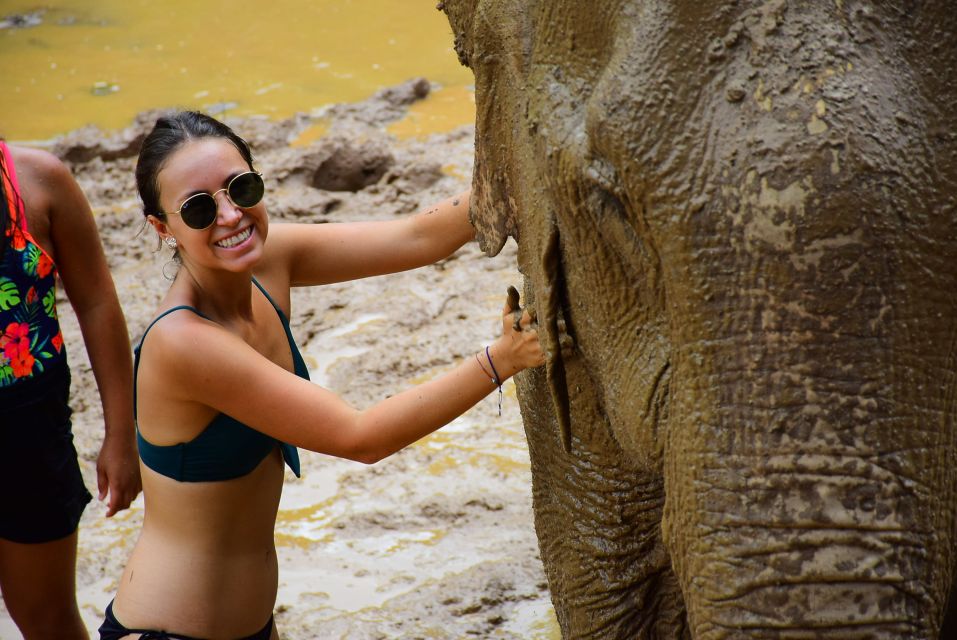 From Chiang Mai: Elephant Care Program and Nursery Tour - Price and Value: Is $53 Worth It?