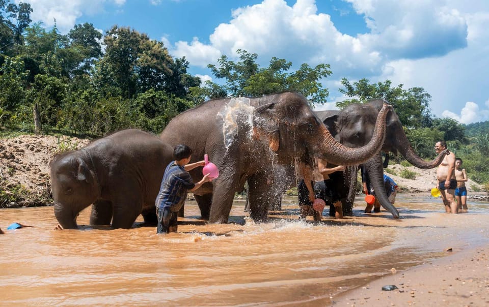 From Chiang Mai: Kerchor Eco Elephant Park Tour - Karen-style activities and walking time: shirts, hiking pace, and photos
