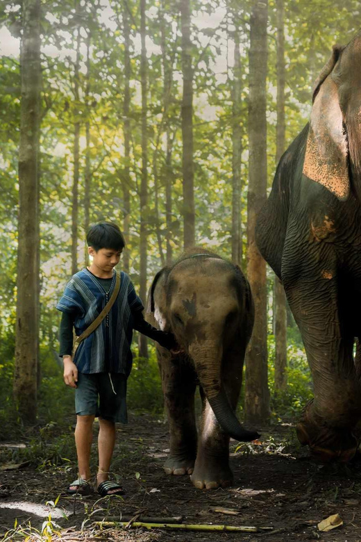 From Chiang Mai: Kerchor Eco Elephant Park Tour - Thai lunch at the end: convenient, but check your expectations