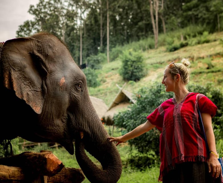 From Chiang Mai: Kerchor Eco Elephant Park Tour - The eco intro before you meet elephants: what you’re actually learning