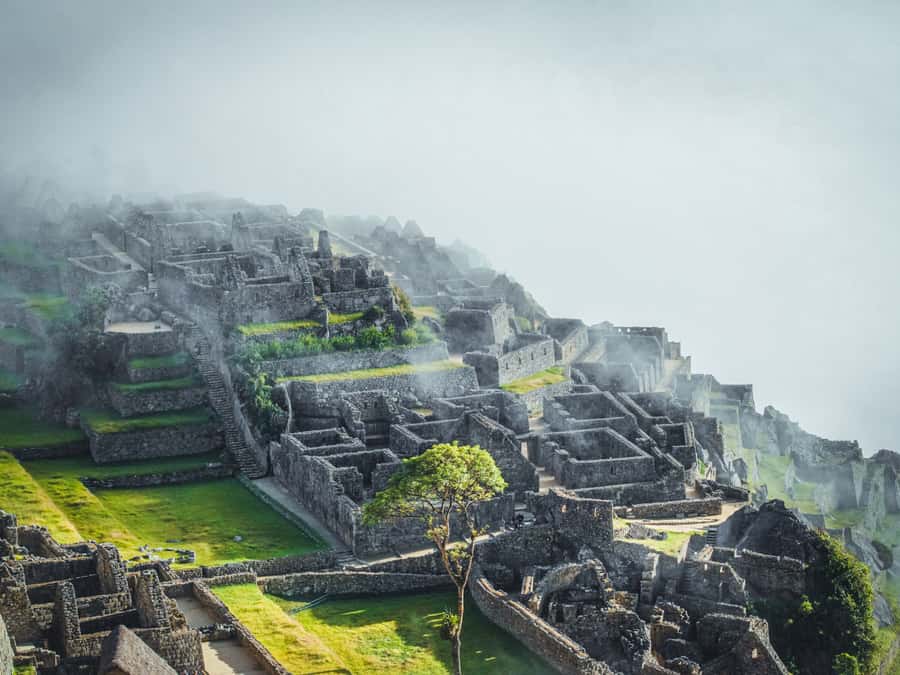 From Cusco: 2-Day Sacred Valley and Machupicchu by Train - Awana Kancha and textiles: great learning, possible shopping pressure