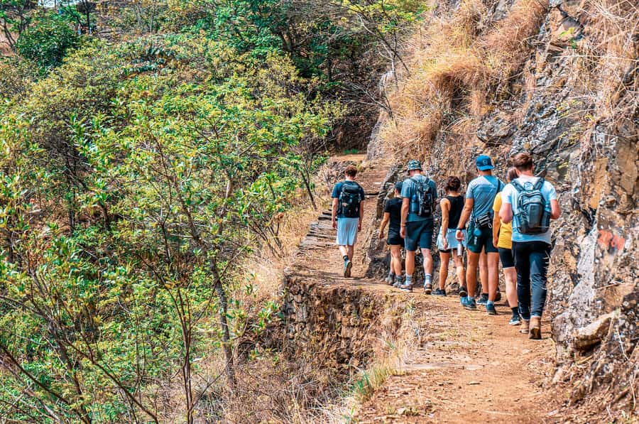 From Cusco: 4-Day Inca Jungle Adventure to Machu Picchu - Value, Fitness Level, and Who This Trip Really Suits