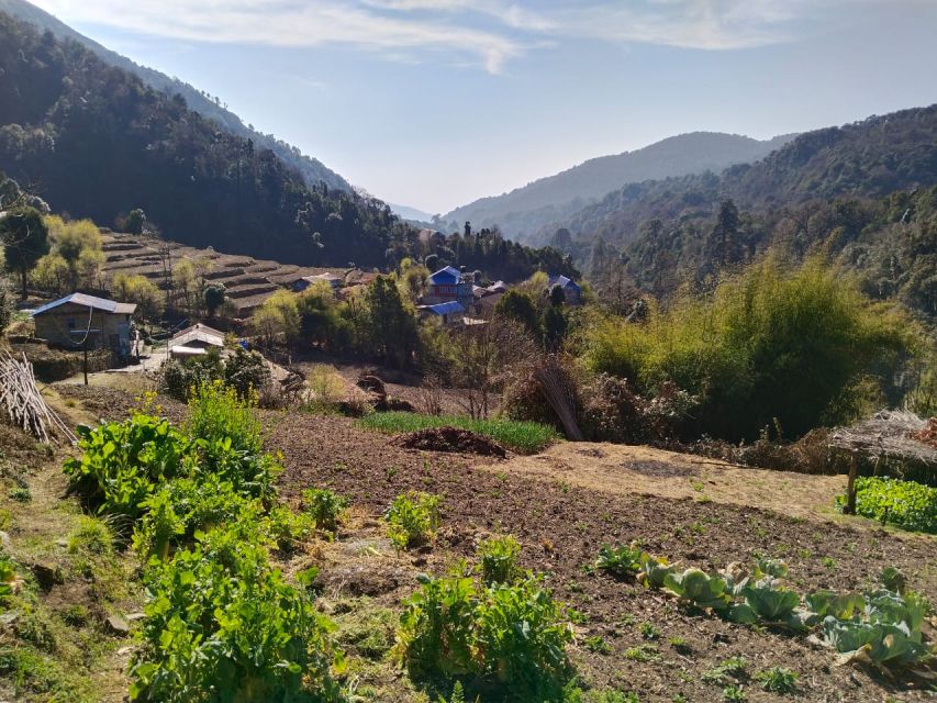 From Pokhara: 4-Day Annapurna and Poon Hill Himalayan Trek - From Pokhara to Ulleri: Day 1’s climb into Ghorepani