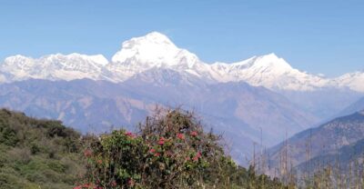 From Pokhara: 4-Day Annapurna and Poon Hill Himalayan Trek - Poon Hill sunrise: the reason the Annapurna Range feels close