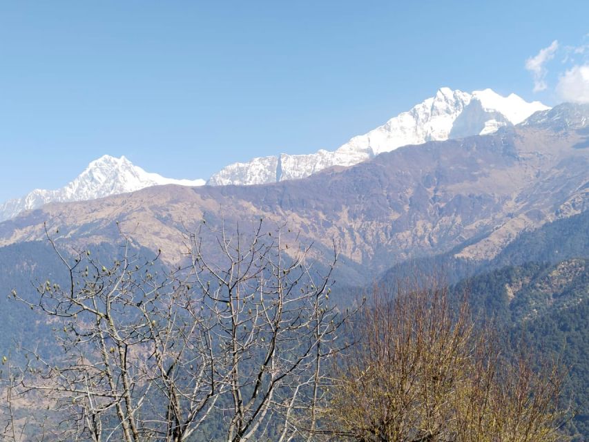 From Pokhara: 4-Day Annapurna and Poon Hill Himalayan Trek - Should you book this 4-Day Annapurna and Poon Hill trek?