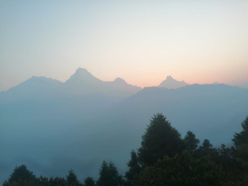 From Pokhara: Budget 2 Night 3 days Poon hill trek - Day 1 to Tadapani (2,630m): forests, Ghandruk, and a view-earned night