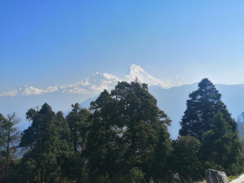 From Pokhara: Budget 2 Night 3 days Poon hill trek - Teahouses, warm meals, and what to budget for food